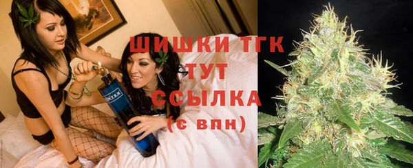 тгк Лагань