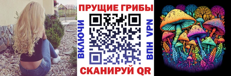 Купить  Чайковский  Галлюциногенные грибы Magic Shrooms 