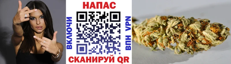 Купить  Чайковский  МАРИХУАНА LSD WEED 